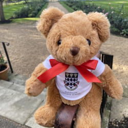 School Eco Bear