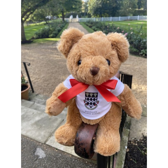 School Eco Bear School Eco Bear