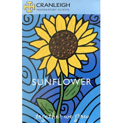 School Sunflower Seeds