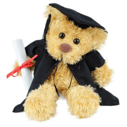 Rocky Graduation Bear
