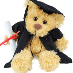 Rocky Graduation Bear
