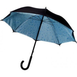 Double canopy umbrella