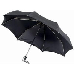Alex 21.5'' foldable auto open/close umbrella