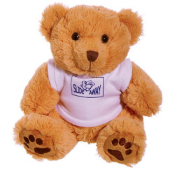 10 inch Dexter Bear with White T Shirt