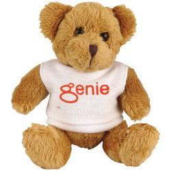 5 inch Robbie Bear with White T Shirt