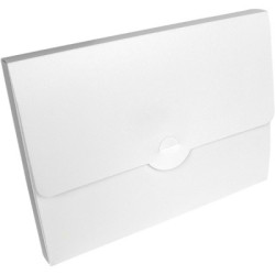 Polypropylene Conference Box - Frosted White