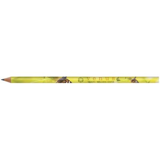 BIC® Evolution Classic Cut End Digital Ecolutions® Pencil