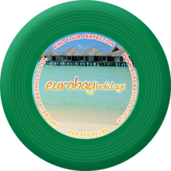 Recycled Frisbee  Small