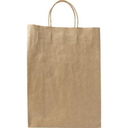 Paper bag,'large'.
