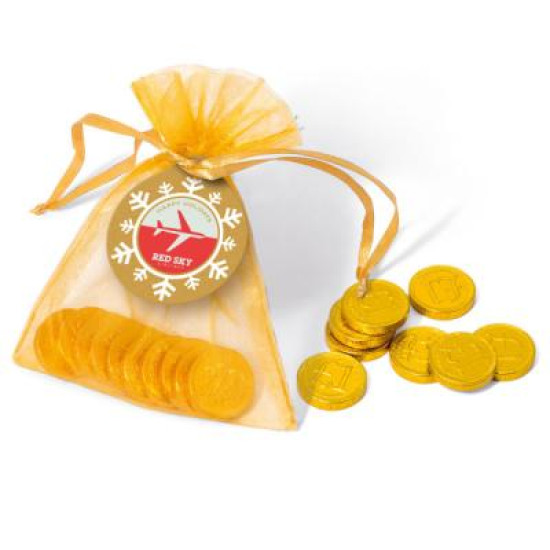 Organza Bag Gold Coins