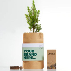 Grow Your Own Christmas Tree Pouch