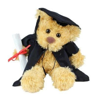 Rocky Graduation Bear