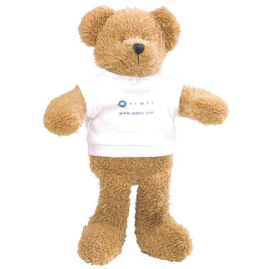 Scraggy Bear and T Shirt Scraggy Bear and T Shirt