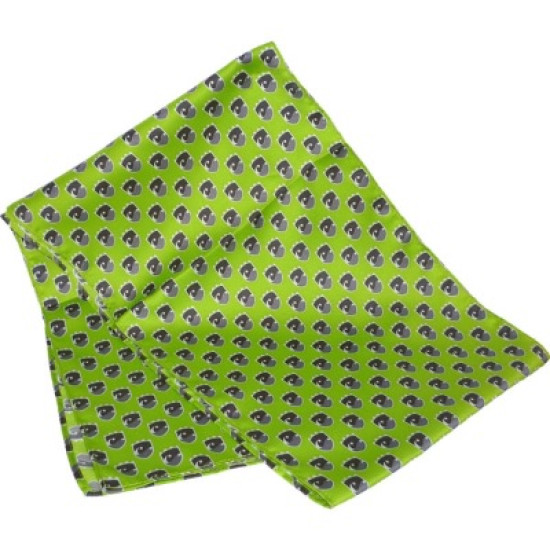 Printed Silk Scarf (Long: Screen Print) Printed Silk Scarf (Long: Screen Print)