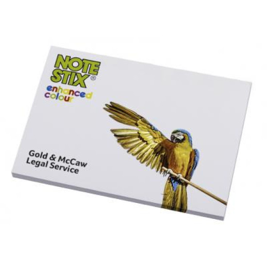 NoteStix Sticky Notes NoteStix Sticky Notes