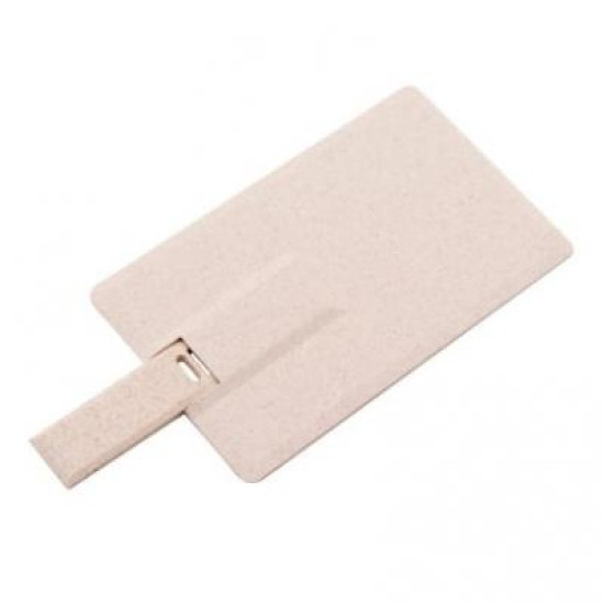 Eco Credit Card USB Eco Credit Card USB