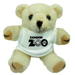 5'' Honey Bear with White T Shirt