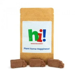Van Shaped Seed Bombs - Pouch