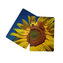Rampton ECOlour Flexi A5 Notebook Rampton ECOlour Flexi A5 Notebook