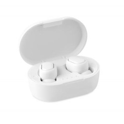 RWing Earbuds RWing Earbuds