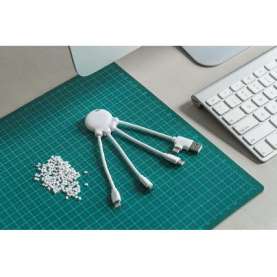 Xoopar Ocean Octopus