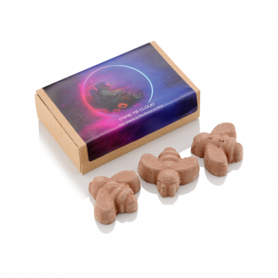 Bee-Shaped Seed Bombs - Matchbox Bee-Shaped Seed Bombs - Matchbox