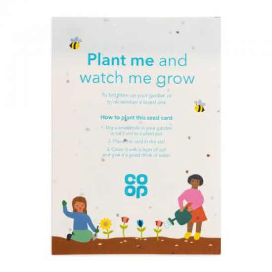 Seed Paper A5 - 140gsm Seed Paper Seed Paper A5 - 140gsm Seed Paper