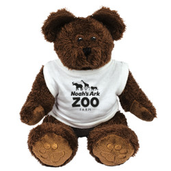 10" Charlie Bear with T Shirt