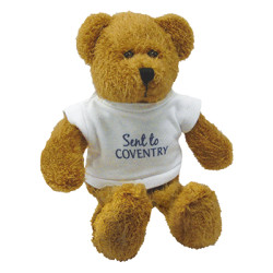 9'' Scraggy Bear with White T Shirt
