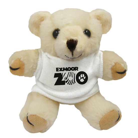 5'' Honey Bear with White T Shirt