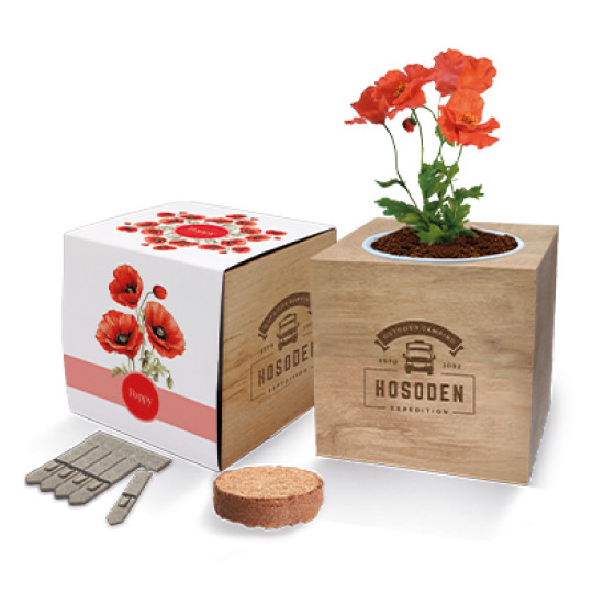 Essential Desktop Cube Gardens