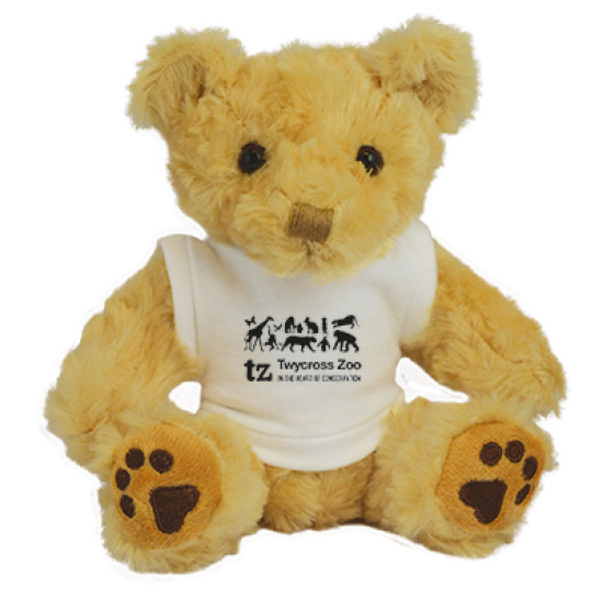 7" Benji Bear with T Shirt