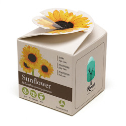 Mini Box Seed Kit