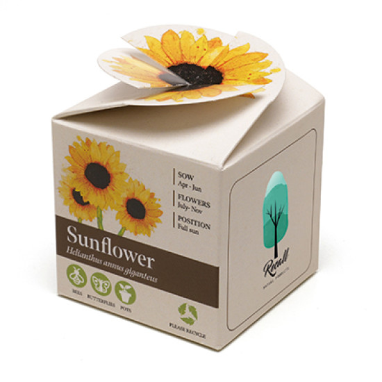 Mini Box Seed Kit