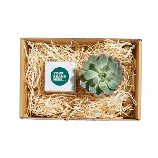 Plant and Candle Hamper