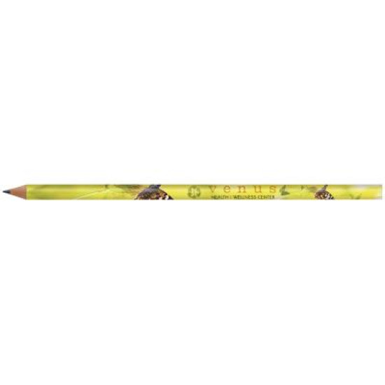 BIC Evolution Classic Cut End Digital Ecolutions Pencil