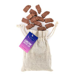 Van-Shaped Seed Bomb Bag