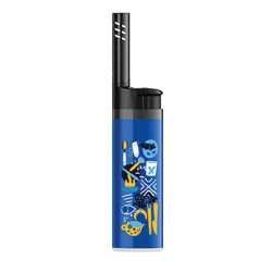 BIC EZ Reach Lighter