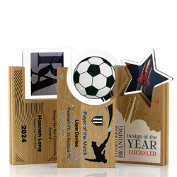 Acrylic Layered Award