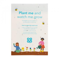 Seed Paper A5 - 140gsm Seed Paper