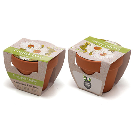 Standard Growing Gift